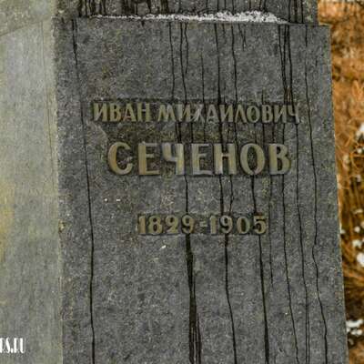 Памятник Сеченову