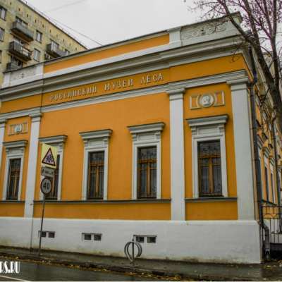 Российский музей леса