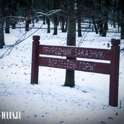 Природный заказник «Воробьевы Горы»