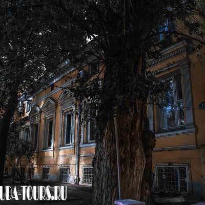 Усадьба А. Г. Чижова, главный корпус с оградой